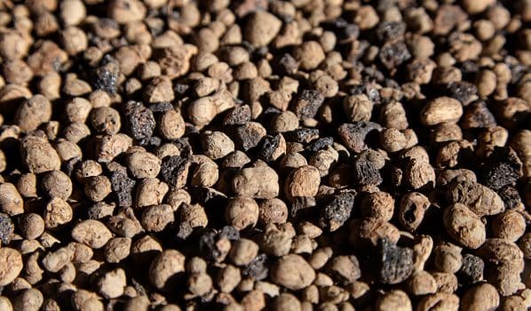 Expanded clay aggregate, pebbles drainage, plant-growing substrate. Lightweight porous material