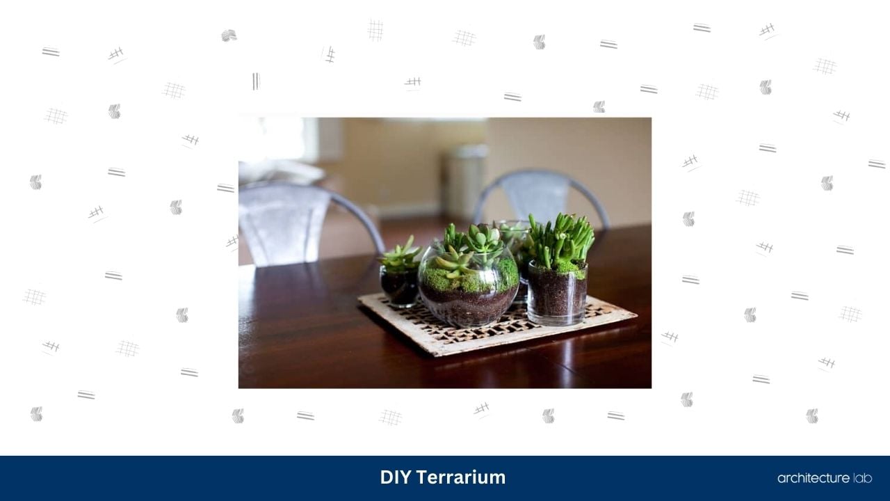 Diy terrarium