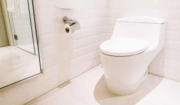 White toilet seat decoration in bathroom interior - vintage light filter