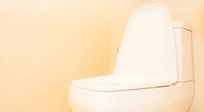 White toilet bowl seat decoration in bathroom interior