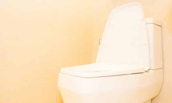 White toilet bowl seat decoration in bathroom interior