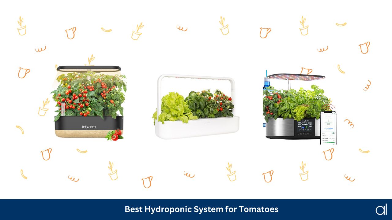 Best hydroponic systems for tomatoes