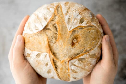 Small batch sourdough bread is airy and chewy with a crisp crust and a mild flavour. It takes less than 15 minutes of actual prep and requires no kneading. | aheadofthyme. Com