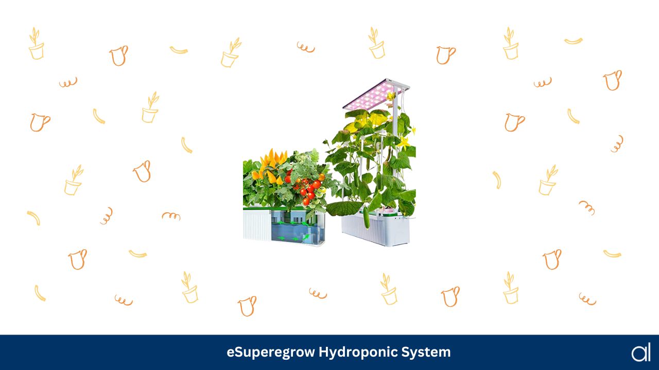 Esuperegrow hydroponic system