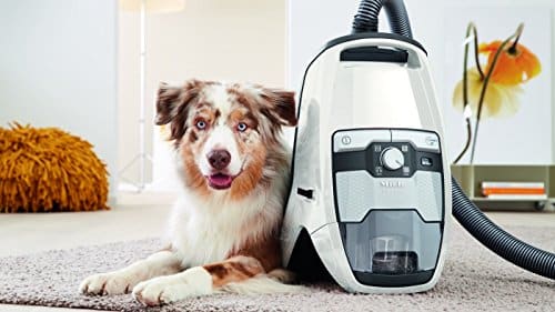 Miele vacuums for pet hair