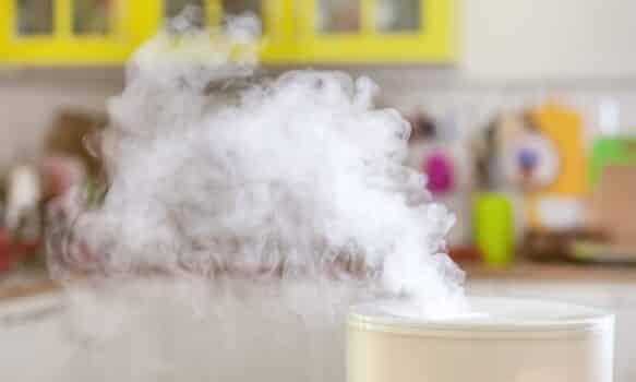 Humidifier in the kitchen and vapor from it