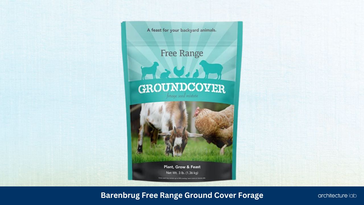 Barenbrug free range ground cover forage