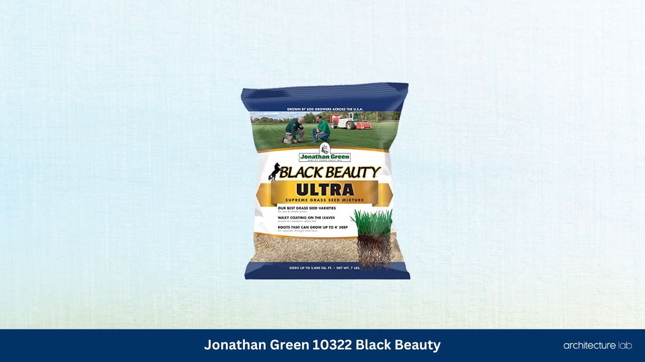 Jonathan green 10322 black beauty