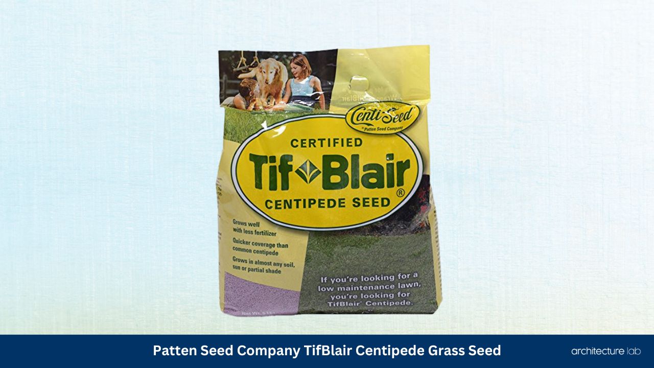 Patten seed company tifblair centipede grass seed