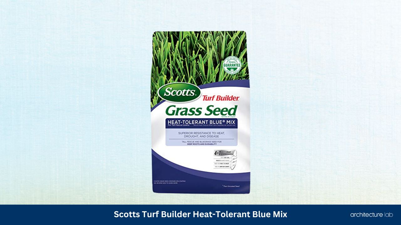 Scotts turf builder heat tolerant blue