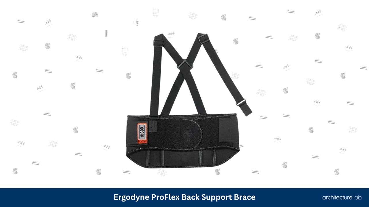 Ergodyne proflex back support brace
