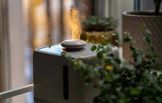 Steam from humidifier at sunset, moistens dry air surrounded by indoor houseplants during the heating season. Home garden, hobby, plant care. Humidification, comfortable living conditions concept.