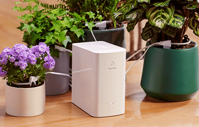 Growcube smart automatic watering kit