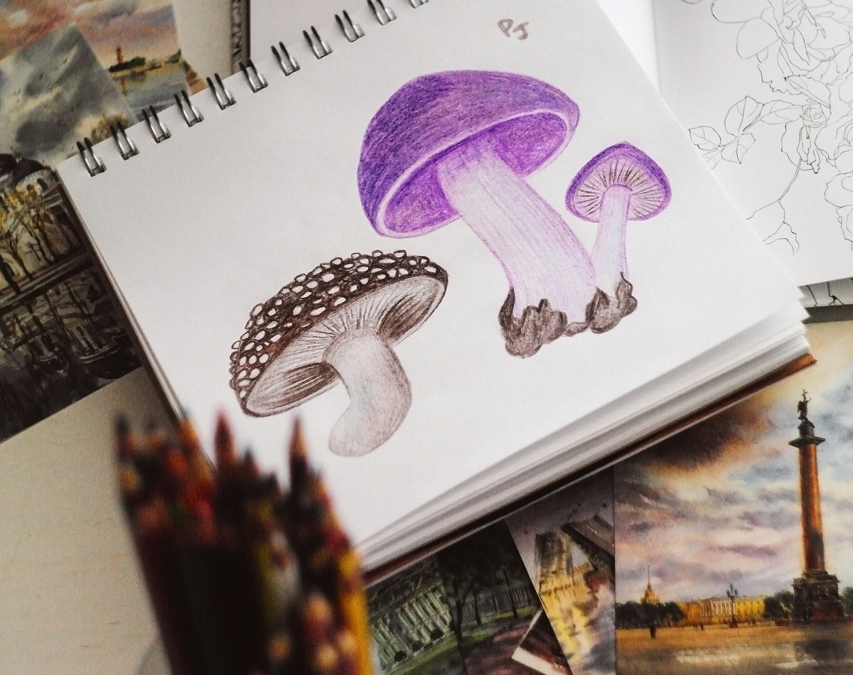 How to shade with colored pencils frequently asked questions
