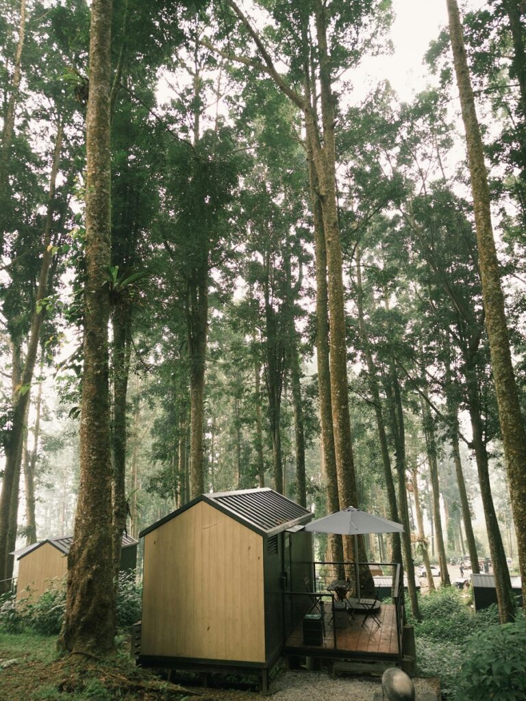 Why Tiny Homes Have Become So Popular 1 Pexels agung gnuga 1116188 34182906