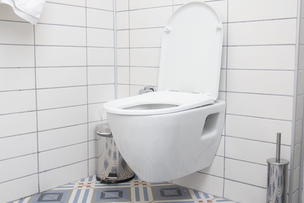 Ceramic white toilet bowl in the modern bathroom. Are non-electric bidets worth it.