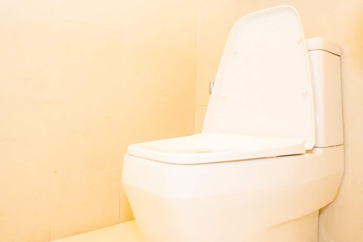 White toilet bowl seat decoration in bathroom interior. Are bidet cold.