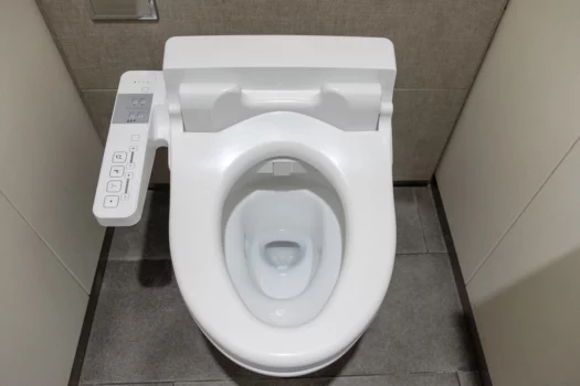 White clean innovation comfortable flush toilet seat. What type of bidets use cold water.