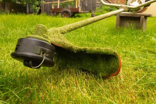 Petrol trimmer mows green grass. Photography with movement. Top husqvarna edger weed eater verdict.
