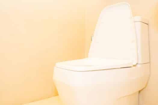White toilet bowl seat decoration in bathroom interior. Bidet attachment vs seat.
