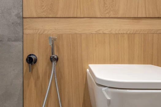 Toilet and detail of a corner shower bidet with wall mount shower attachment. Power requirements for non-electric bidets.