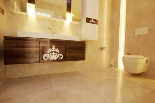 Luxury and modern bathroom interior image. Bidet toilet power requirements final words.