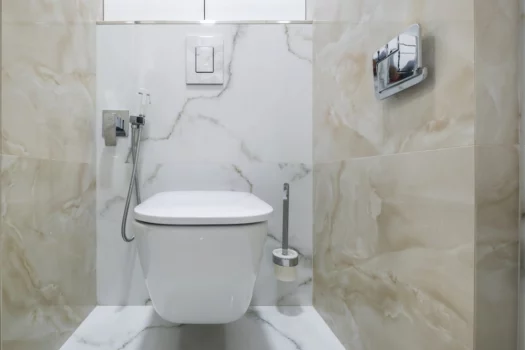 Bidet in modern toilet with wall mount shower attachment. How to make your toilet a bidet final words.
