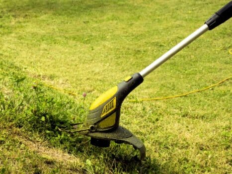 Trimmer for cutting the lawn. Grass shearing equipment. Garden technology. Ryobi vs craftsman 4 cycle weed eater conclusion.