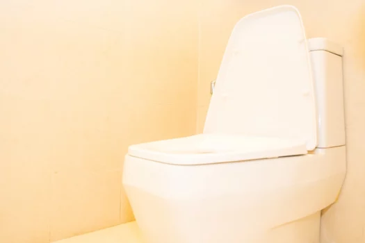 White toilet bowl seat decoration in bathroom interior. Tushy vs luxe bidet.