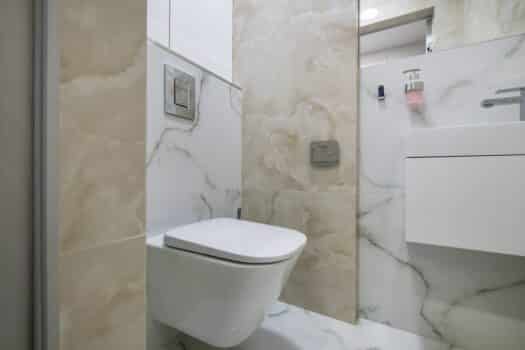 Toilet and detail of a corner bidet cabin with wall mount shower attachment. Toto bidet.