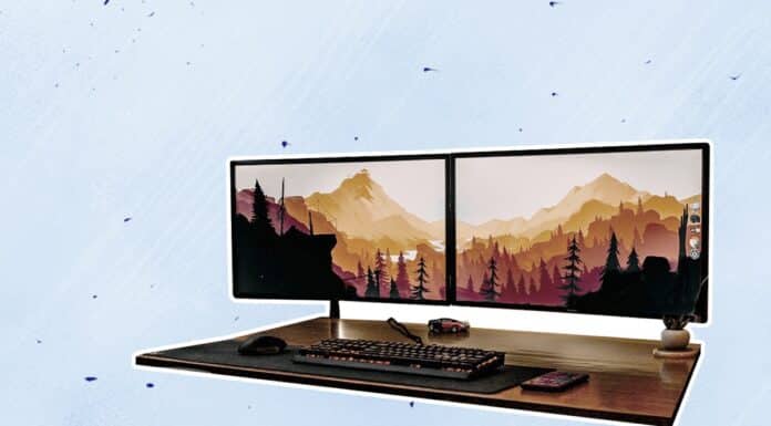 Are Dual Monitor Stands Universal