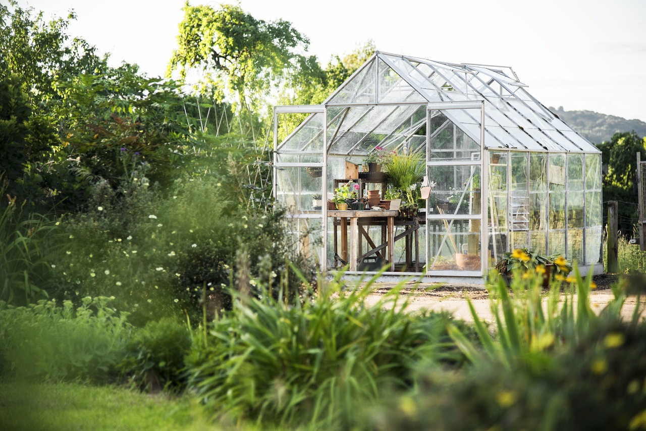 Glass greenhouse sheds