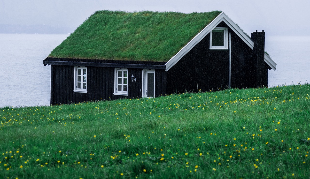 Green roofed shed