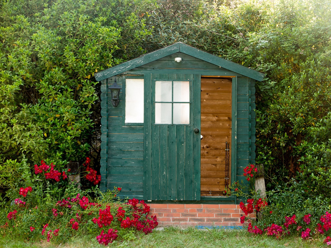 Green home garden hut at the bottom of the park. Types of sheds for your future home.