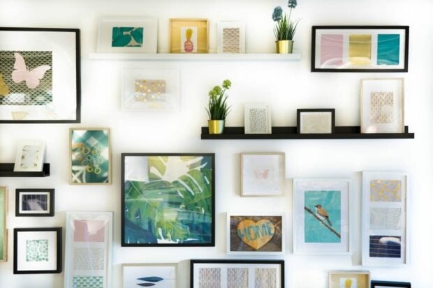 Picture frames and plants on a wall