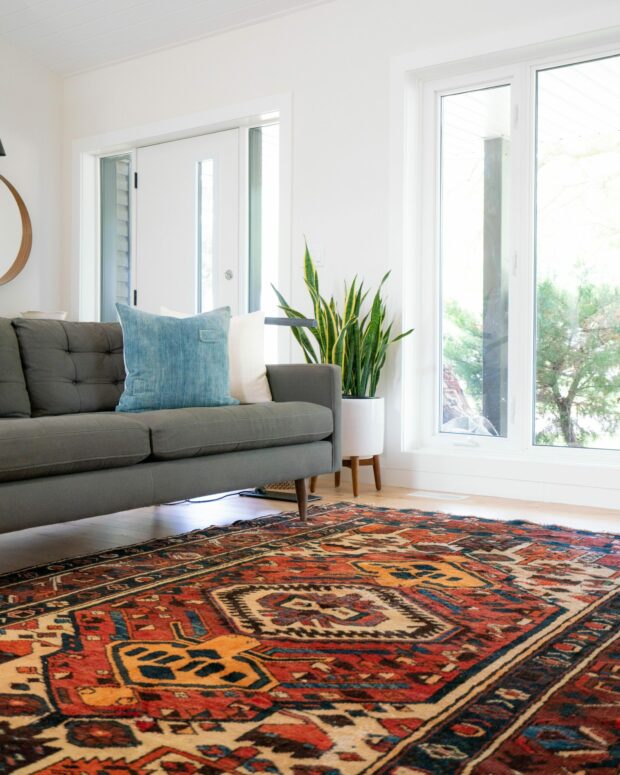 Sofa and rug in living room