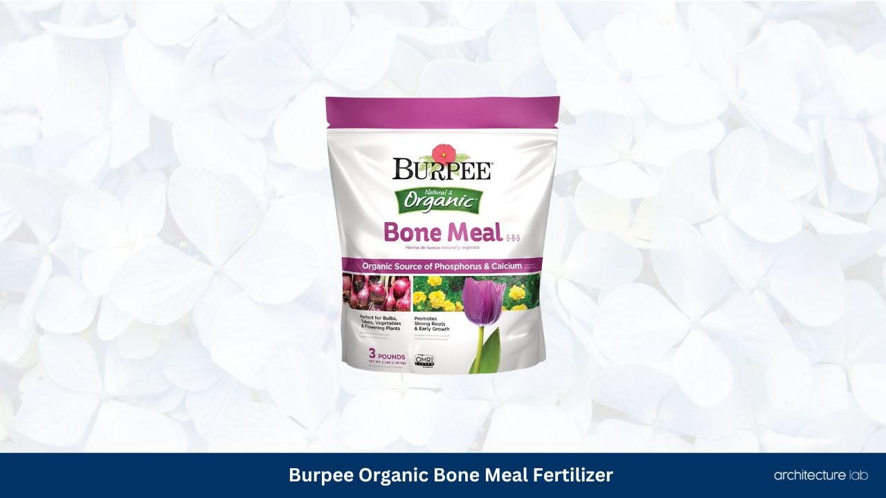 Burpee organic bone meal