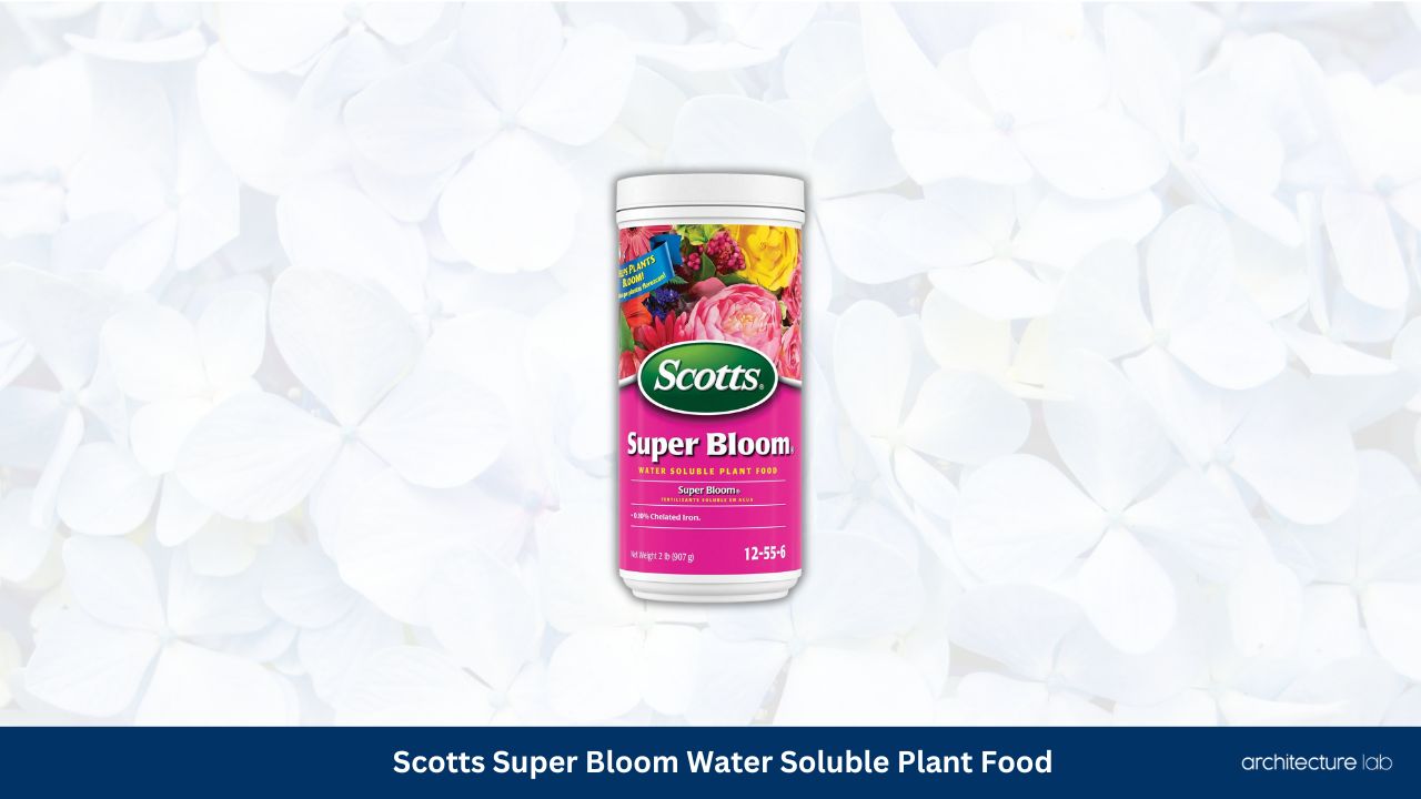Scotts super bloom