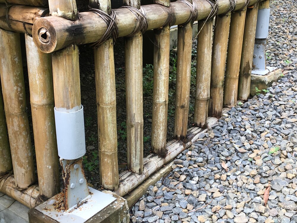 Bamboo as structure and concrete alternative