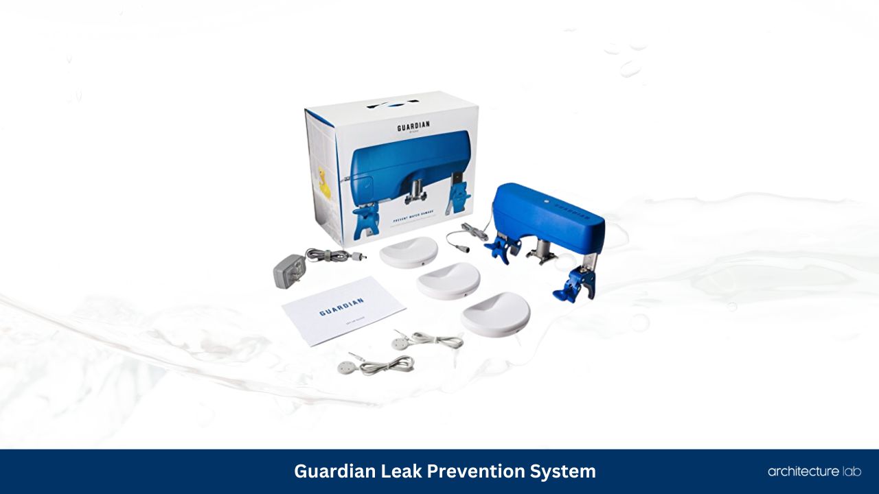Guardian leak prevention system