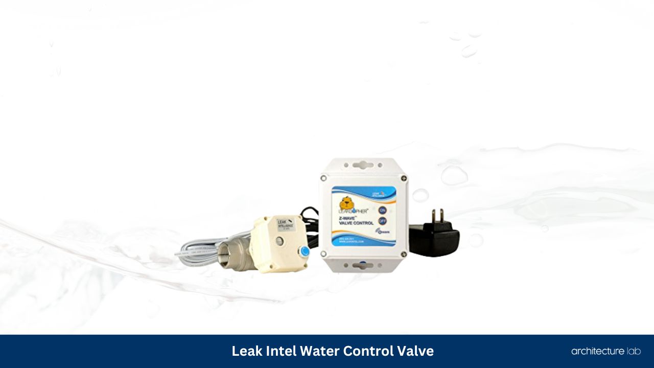 Leak intel water control valve