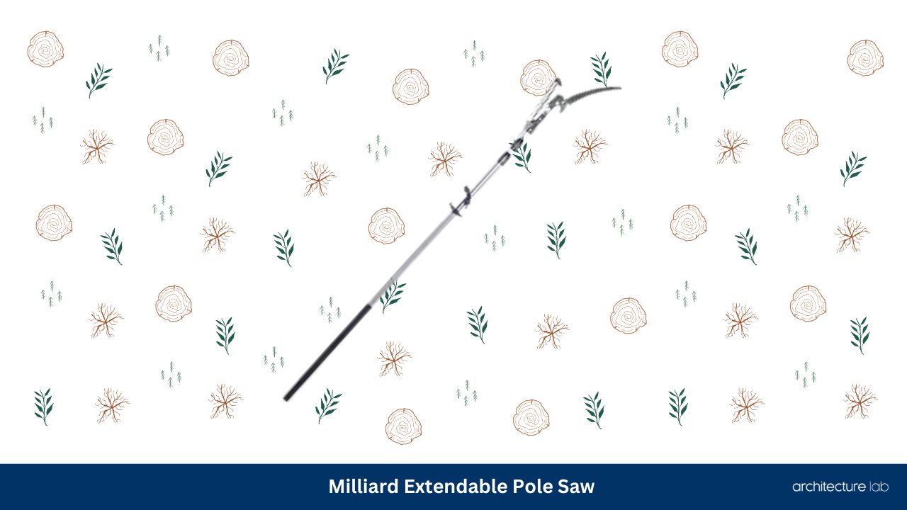 Milliard extendable pole saw