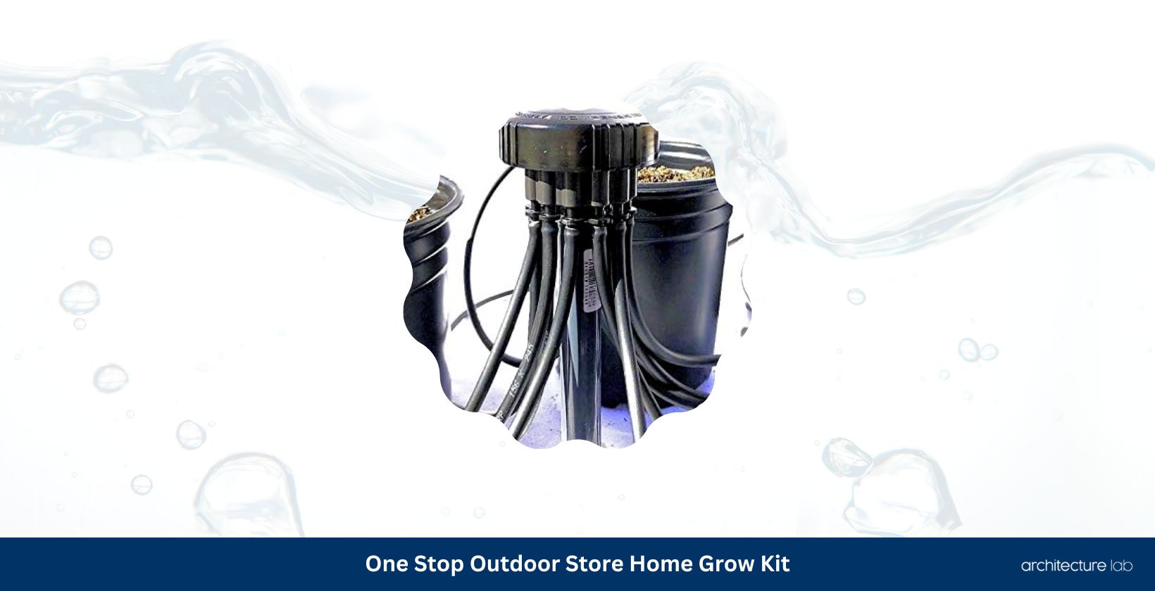 One stop outdoor store 12 grw 12 plant home grow kit