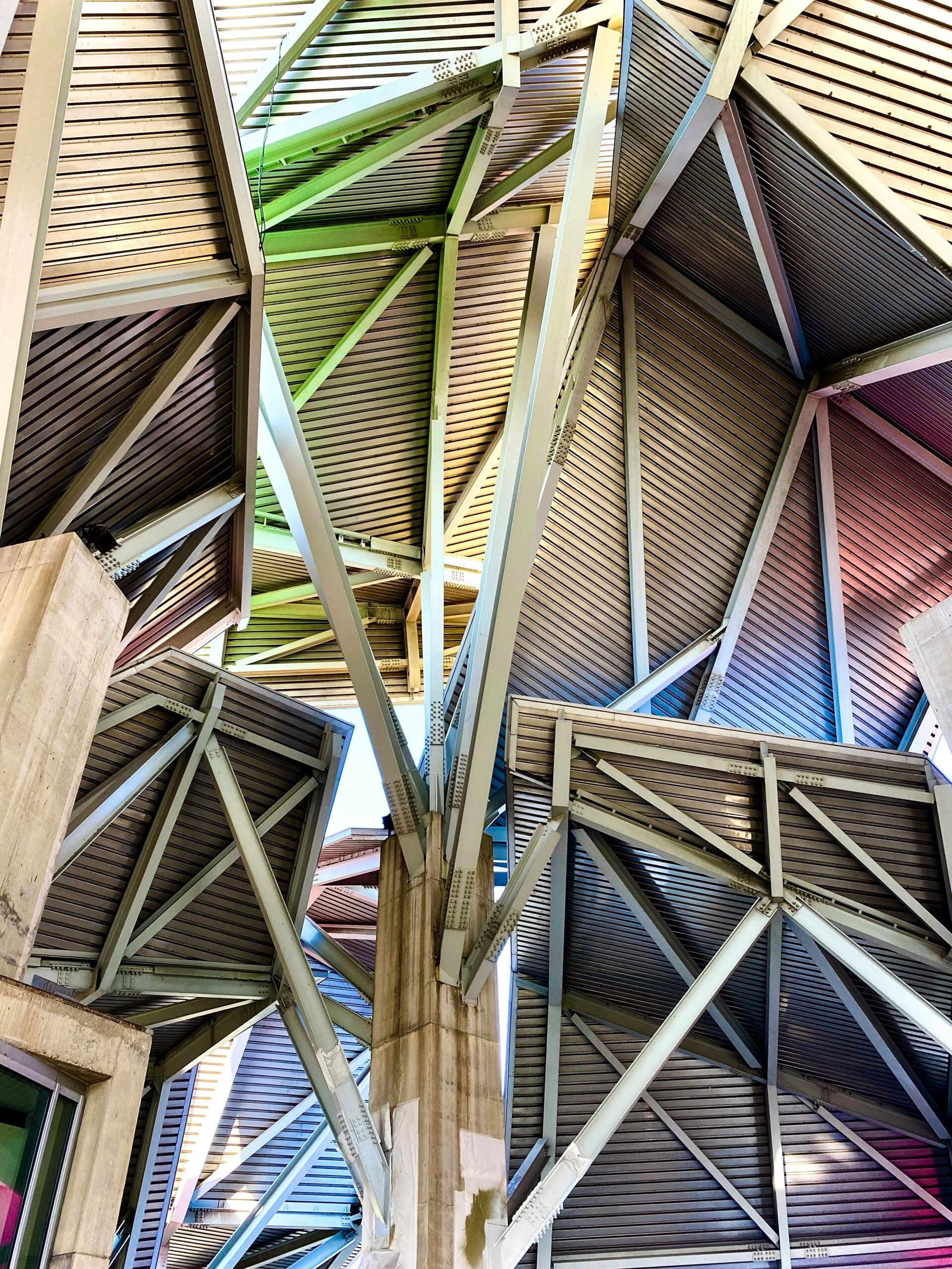 Frank Gehry: Biography, Works, Awards 61 Entrance interior at the biomuseo, panama city - © jason grant