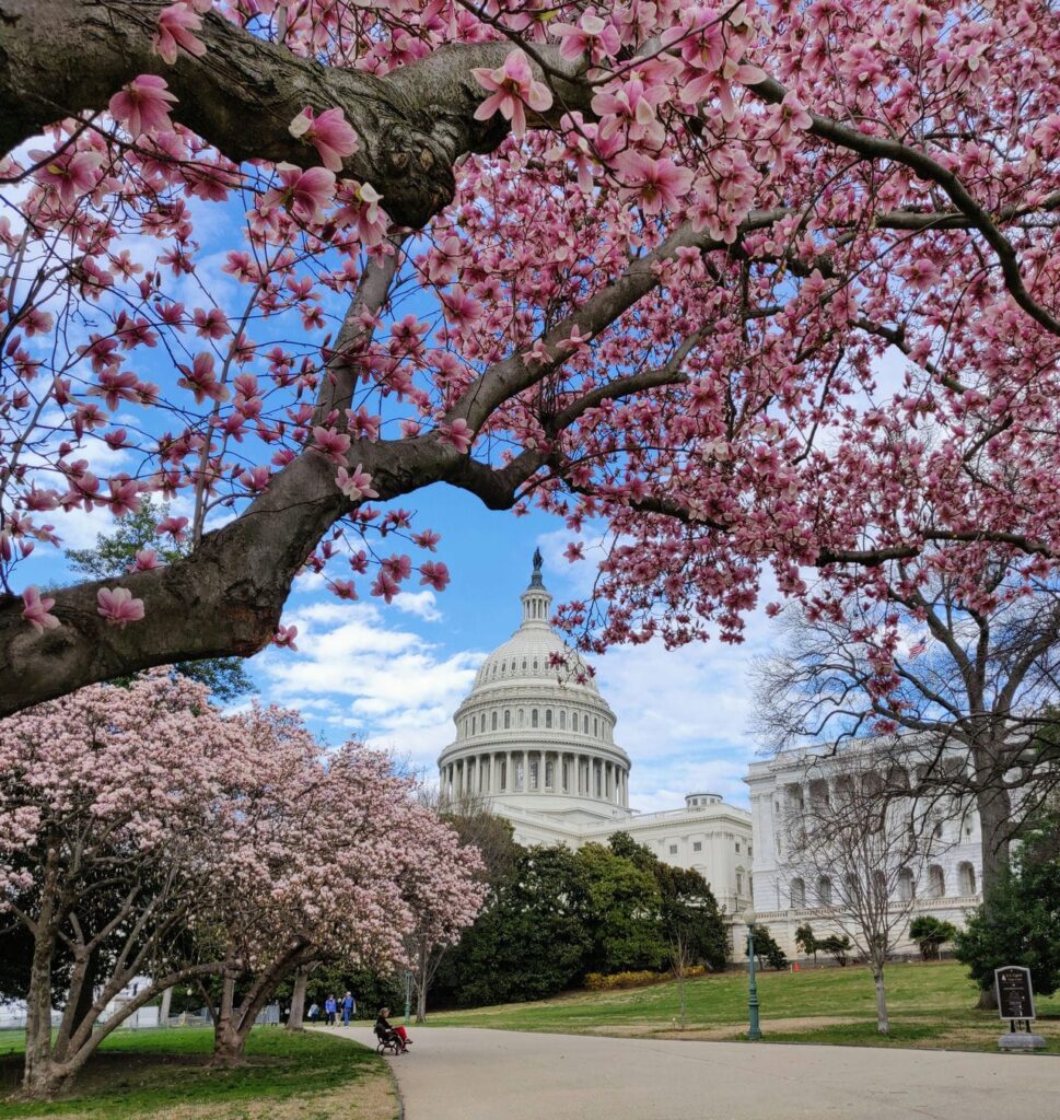 20 Famous Architectural Landmarks In The United States For Architects 160 Architectural landmark: united states capitol grounds ยฉ sdkb