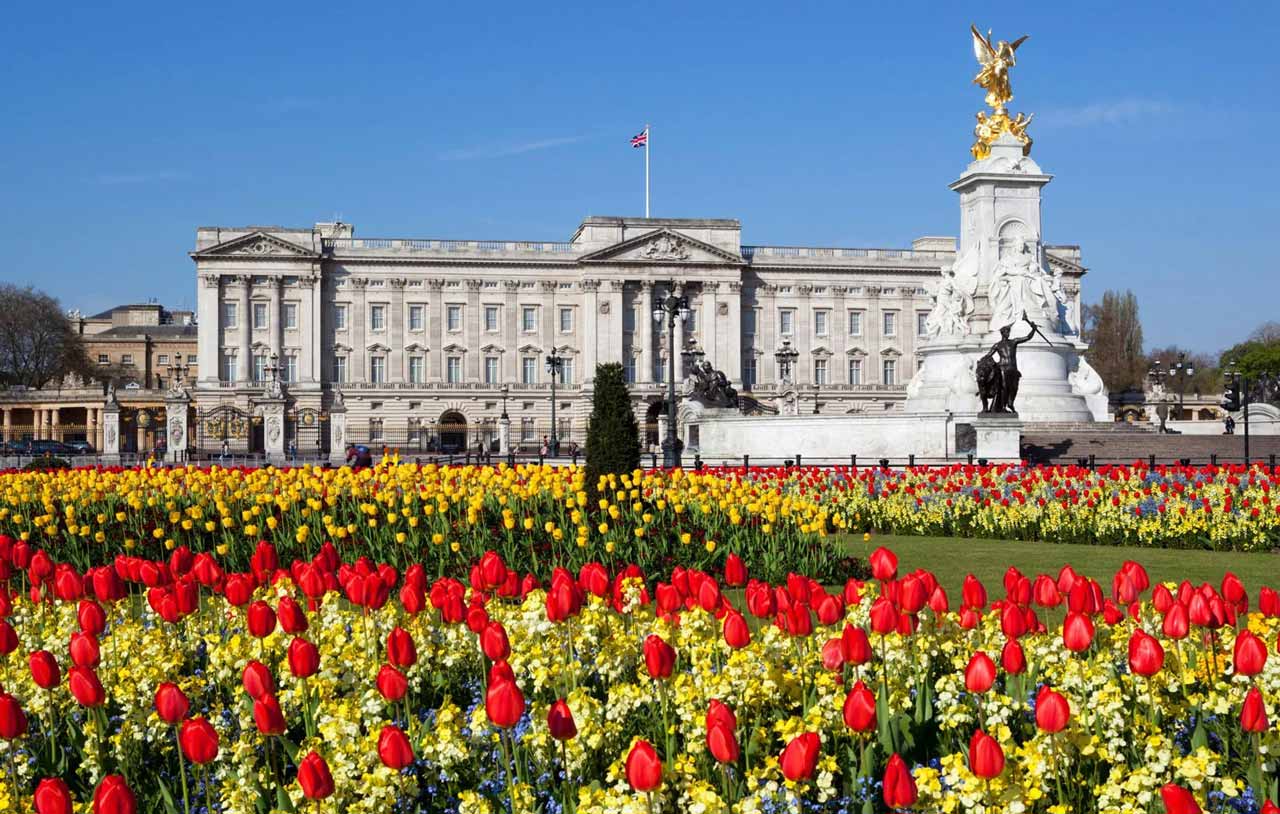 Buckingham palace: victoria memorial tulips garden © stuart black