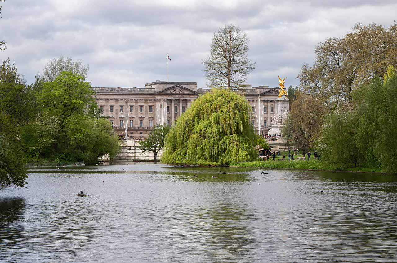 Buckingham palace from st. James's park © tristan surtel