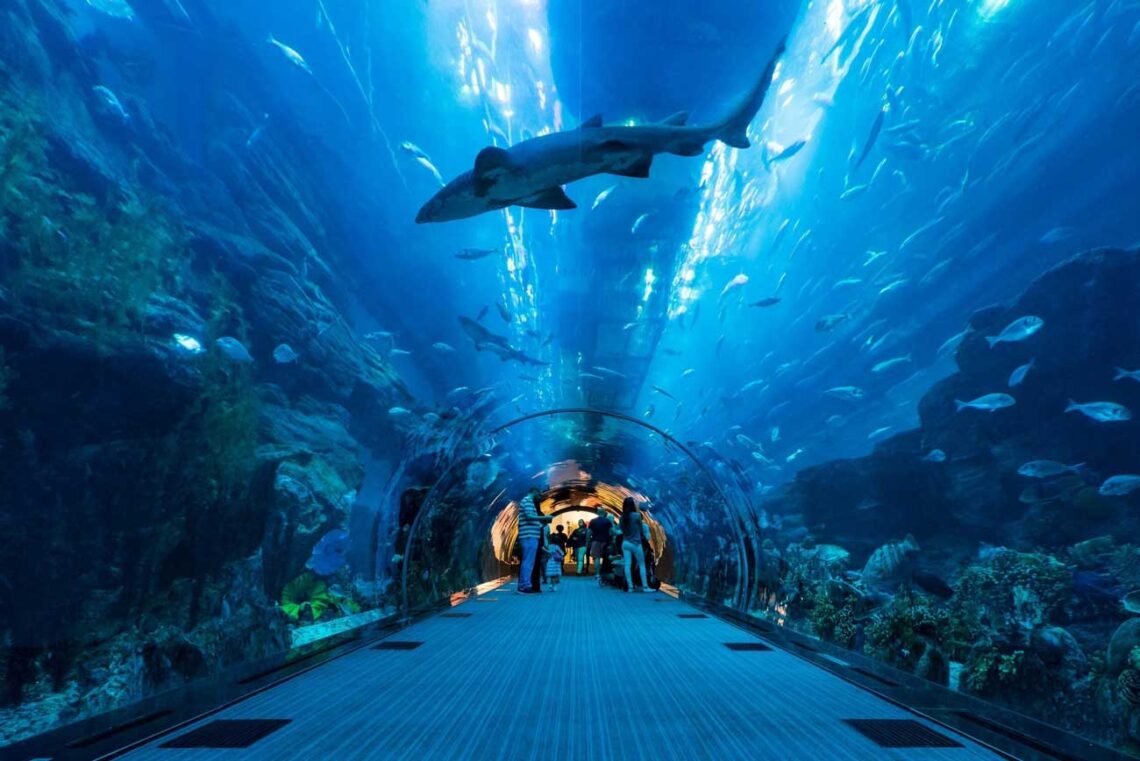 Dp architects: dubai mall indoor aquarium located inside the mall