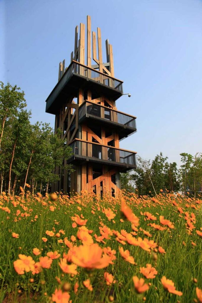 Turenscape: qunli stormwater park observation tower © kongjian yu / turenscape
