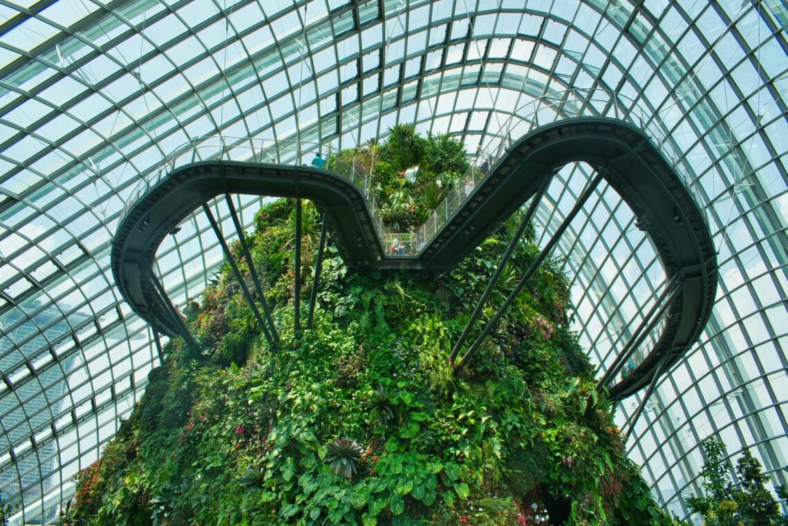 Architectural landmark: gardens by the bay cloud forest aerial walkway © steve douglas